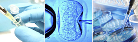 Lo que hay que saber sobre la nueva Ley de Fertilización asistida