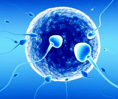Mitos sobre la fertilidad femenina y masculina