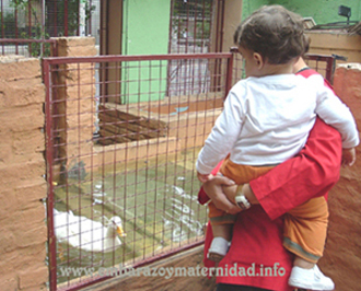 ¿Niñera o jardín maternal?