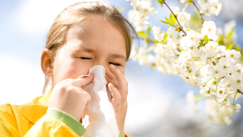 La Primavera : época de alergias